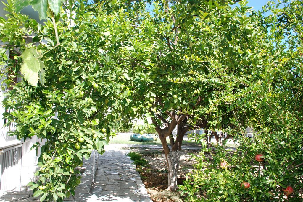 Kostas Family House Apartment Káto Ássos Bagian luar foto