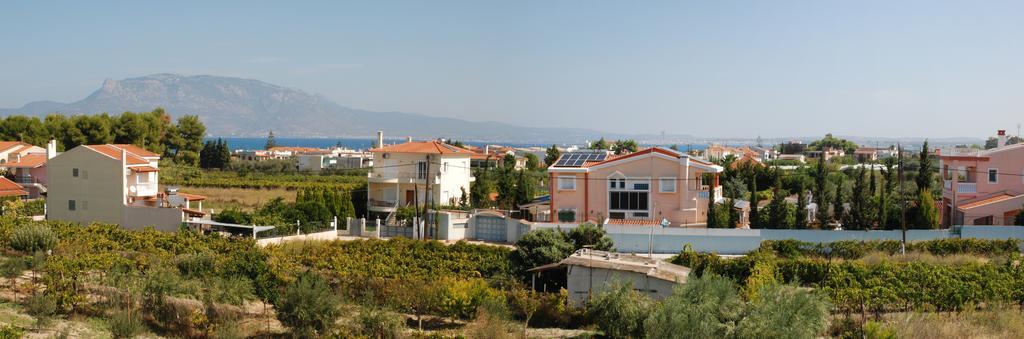 Kostas Family House Apartment Káto Ássos Bagian luar foto
