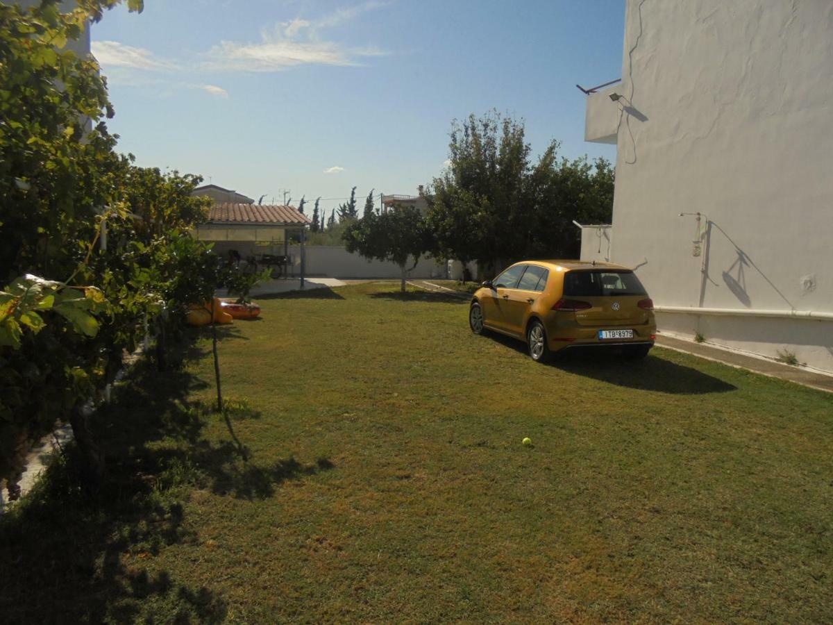 Kostas Family House Apartment Káto Ássos Bagian luar foto